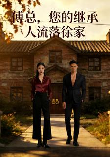 傅总，您的继承人流落徐家