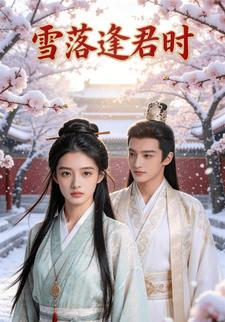 雪落逢君时