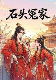 石头冤家