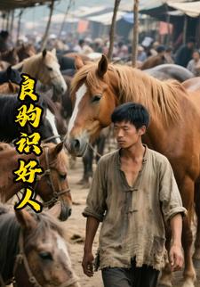 良驹识好人
