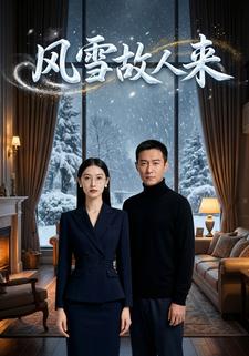 风雪故人来