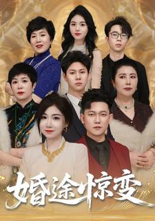 婚途惊变