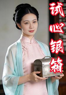试心银箱