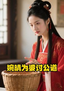 婉晴为婆讨公道