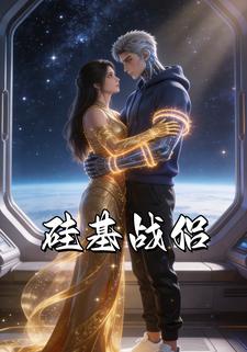 硅基战侣