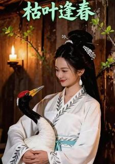 枯叶逢春