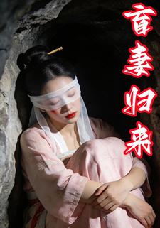 盲妻归来