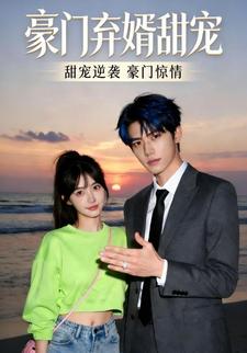 豪门弃婿甜宠