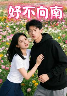 妤不向南