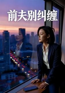 前夫别纠缠