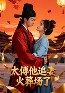 太傅他追妻火葬场了