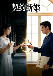 契约新婚