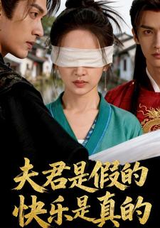 夫君是假的快乐是真的