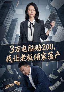 3万电脑赔200，我让老板倾家荡产