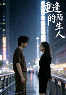 重逢的陌生人