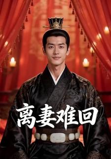 离妻难回