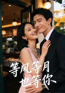 等风等月也等你