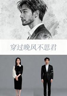 穿过晚风不思君