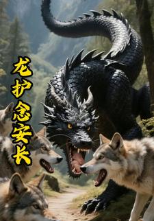 龙护念安长
