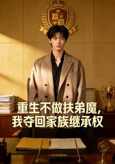 重生不做扶弟魔，我夺回家族继承权