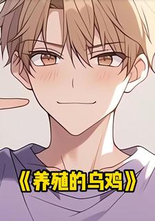 养殖的乌鸡