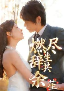 燃尽辞生共余笙