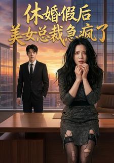 休婚假后美女总裁急疯了
