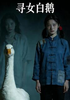 寻女白鹅