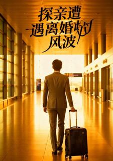 探亲遭遇离婚风波