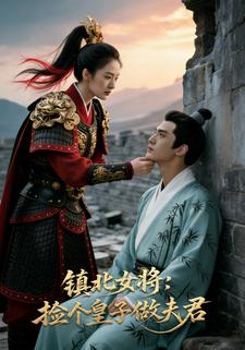 镇北女将：捡个皇子做夫君