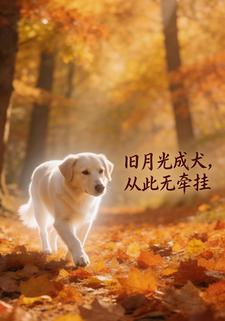 旧月光成犬，从此无牵挂
