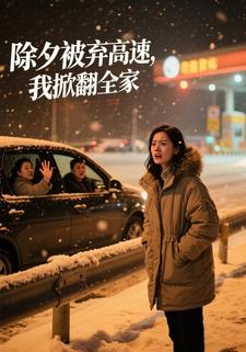 除夕被弃高速，我掀翻全家