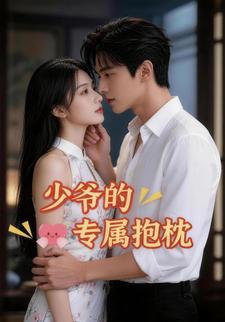 少爷的专属抱枕