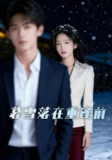 暮雪落在重逢前
