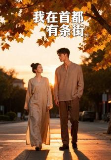 我在首都有条街