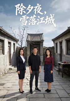 除夕夜雪落江城
