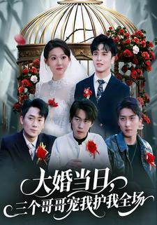 大婚当日，三个哥哥宠我护我全场