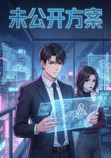 未公开方案