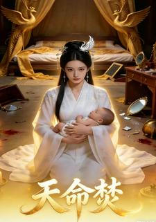 天命焚