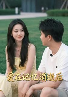 爱在记忆消逝后
