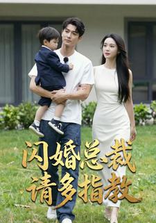闪婚总裁请多指教