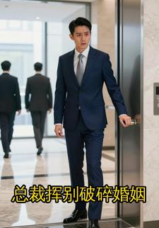 总裁挥别破碎婚姻