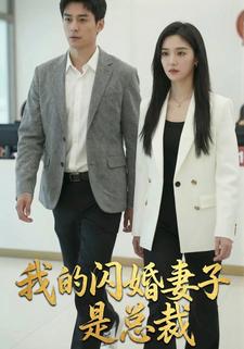 我的闪婚妻子是总裁