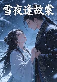 雪夜逢故棠