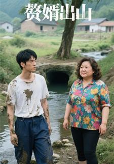 赘婿出山