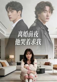 离婚前夜他哭着求我