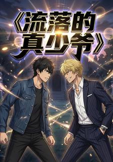 流落的真少爷