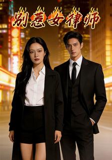 别惹女律师