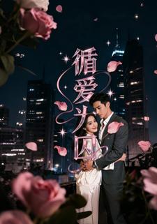 循爱为囚