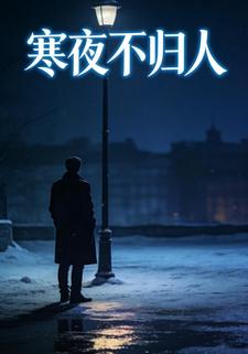 寒夜不归人